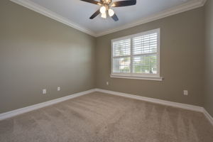 Guest Bedroom 1