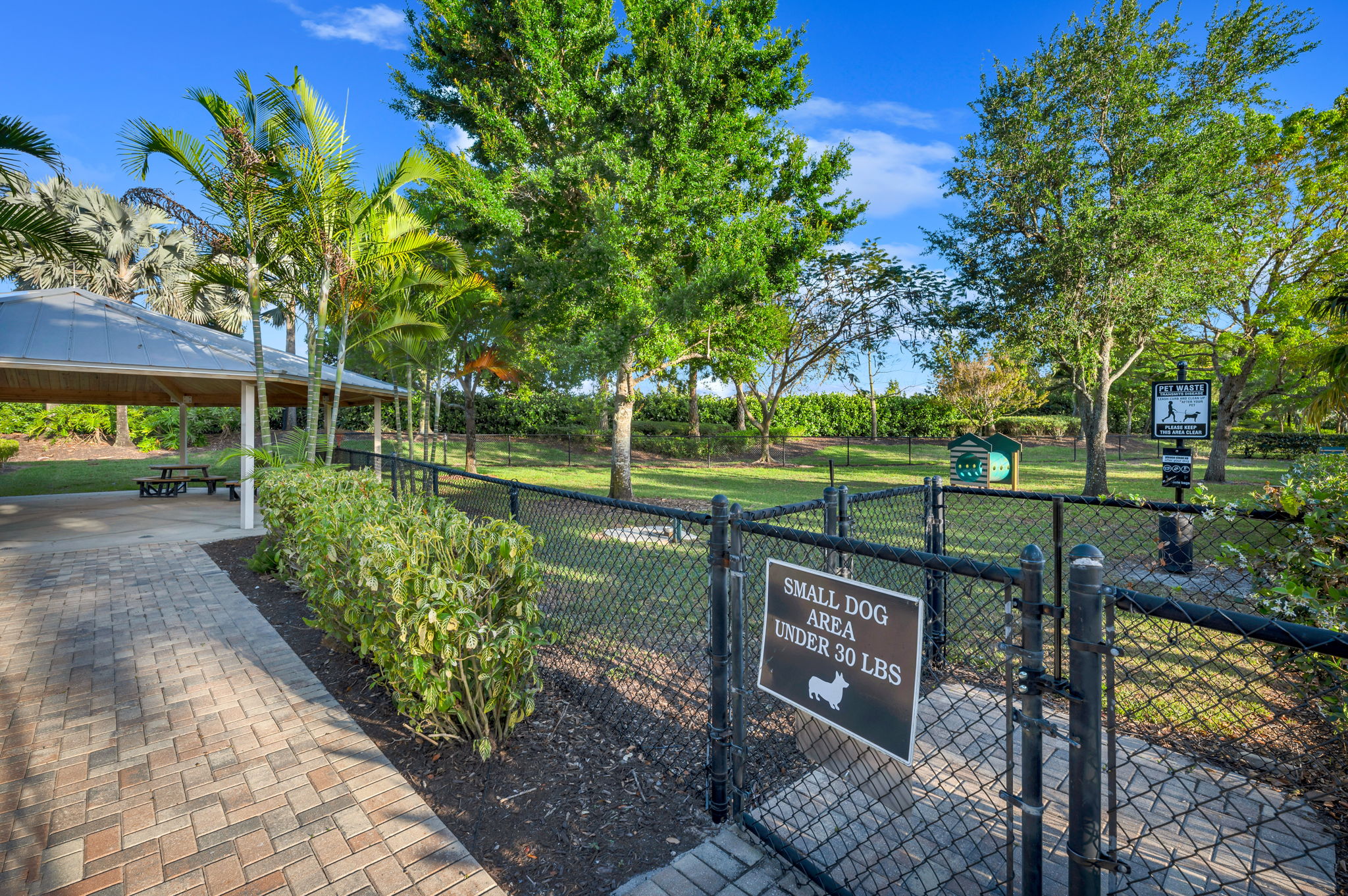 Small Dog - Dog Run