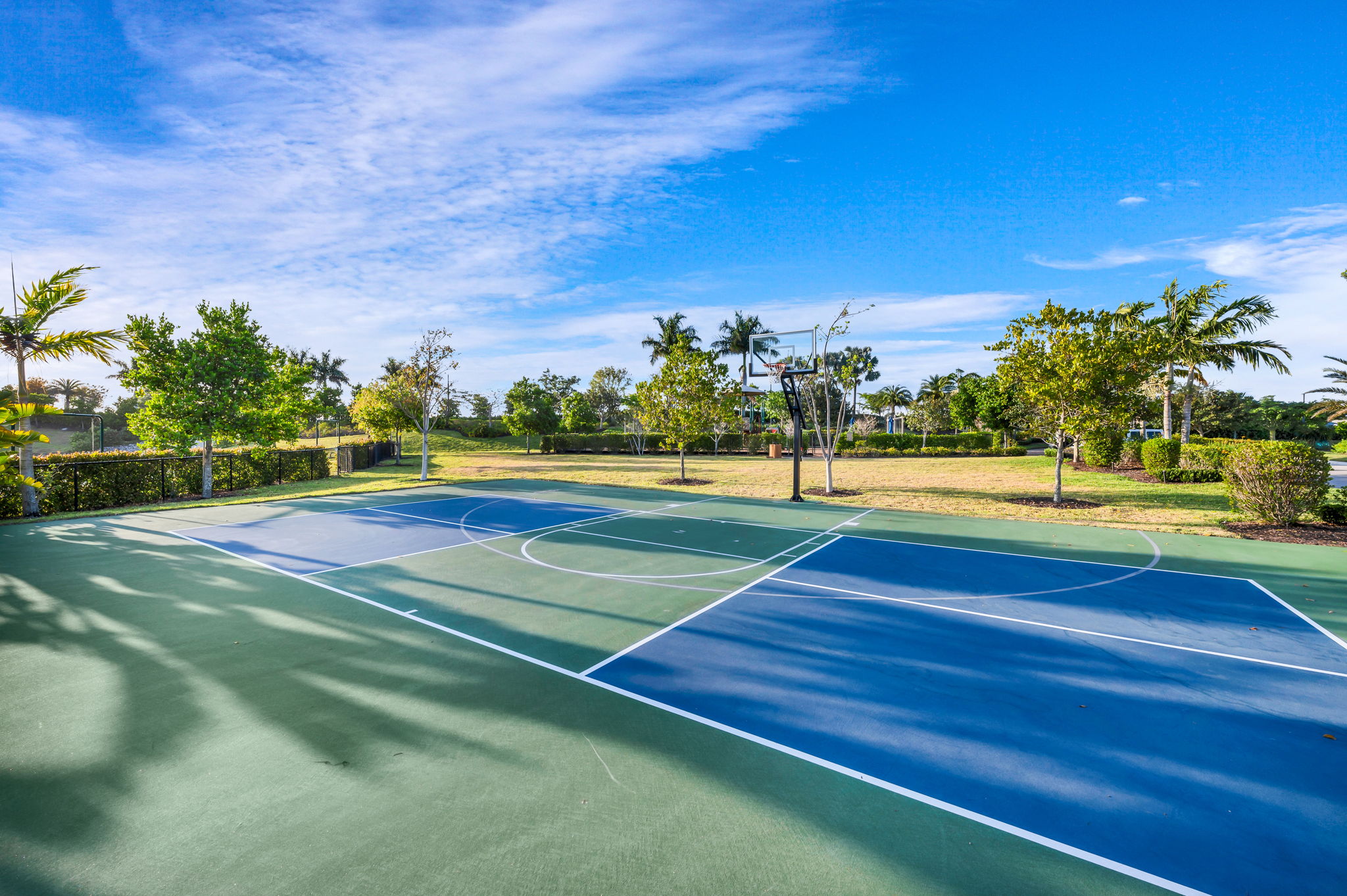 Kids Cove - Basketball