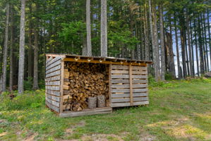  Photo 30