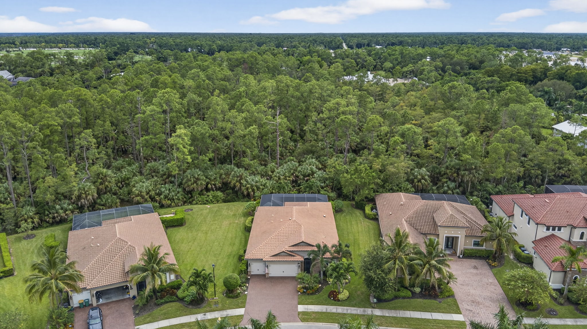 Aerial Front Exterior 1