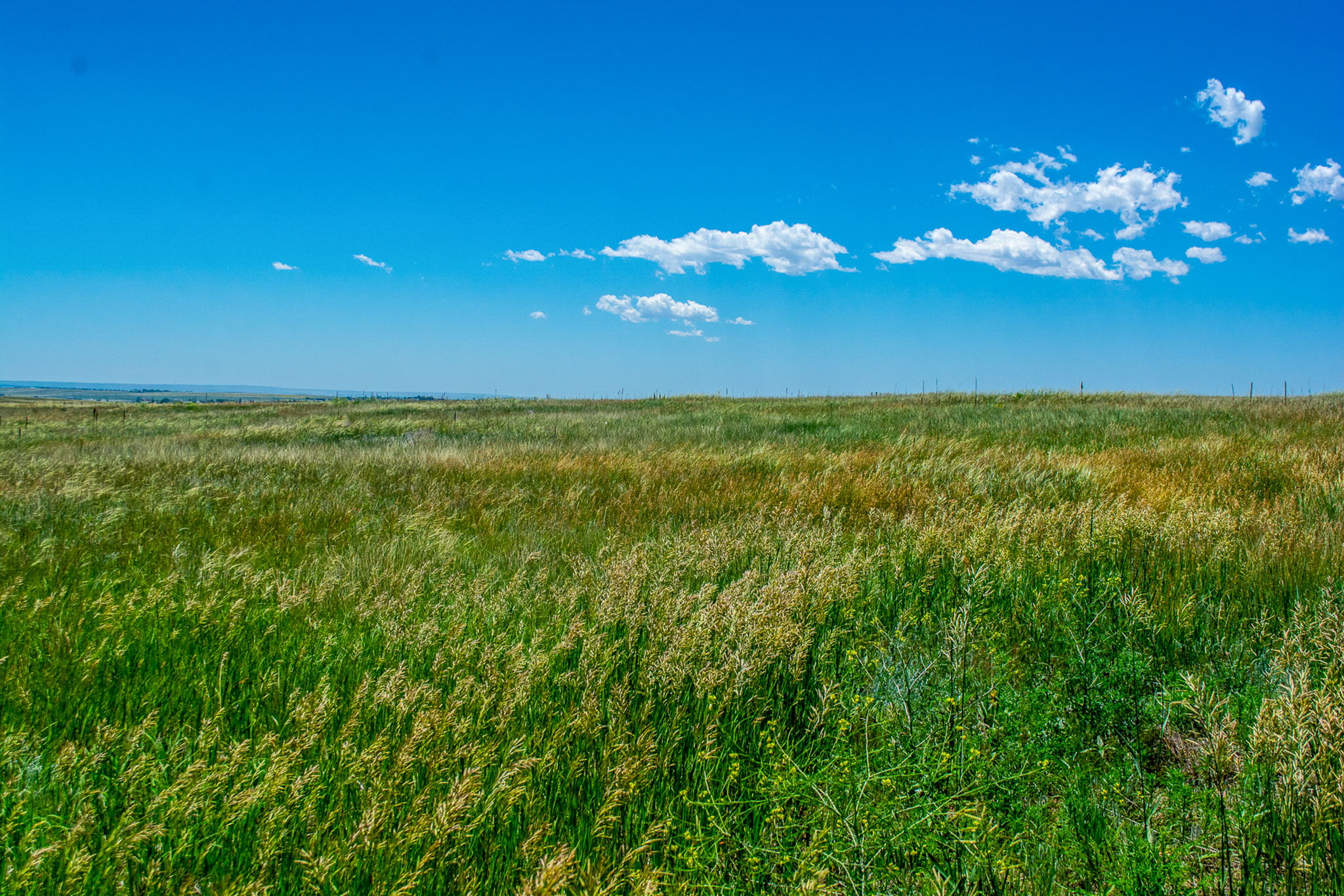 Welcome to 14715 Tiboria Estates, Peyton, CO USA