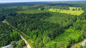 Aerial drone photography of Grapevine, Arkansas by Avery & Bryant