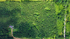 Aerial drone photography of Grapevine, Arkansas by Avery & Bryant