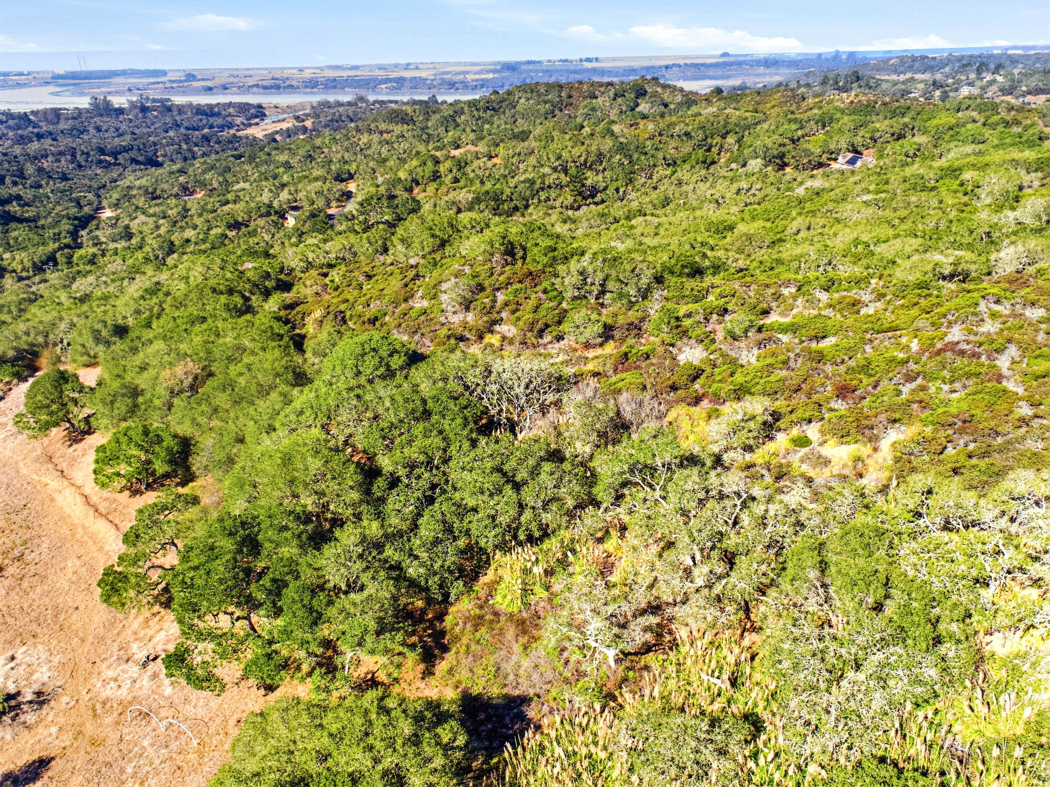 003_F8_AERIAL_14720 Tumbleweed Ln
