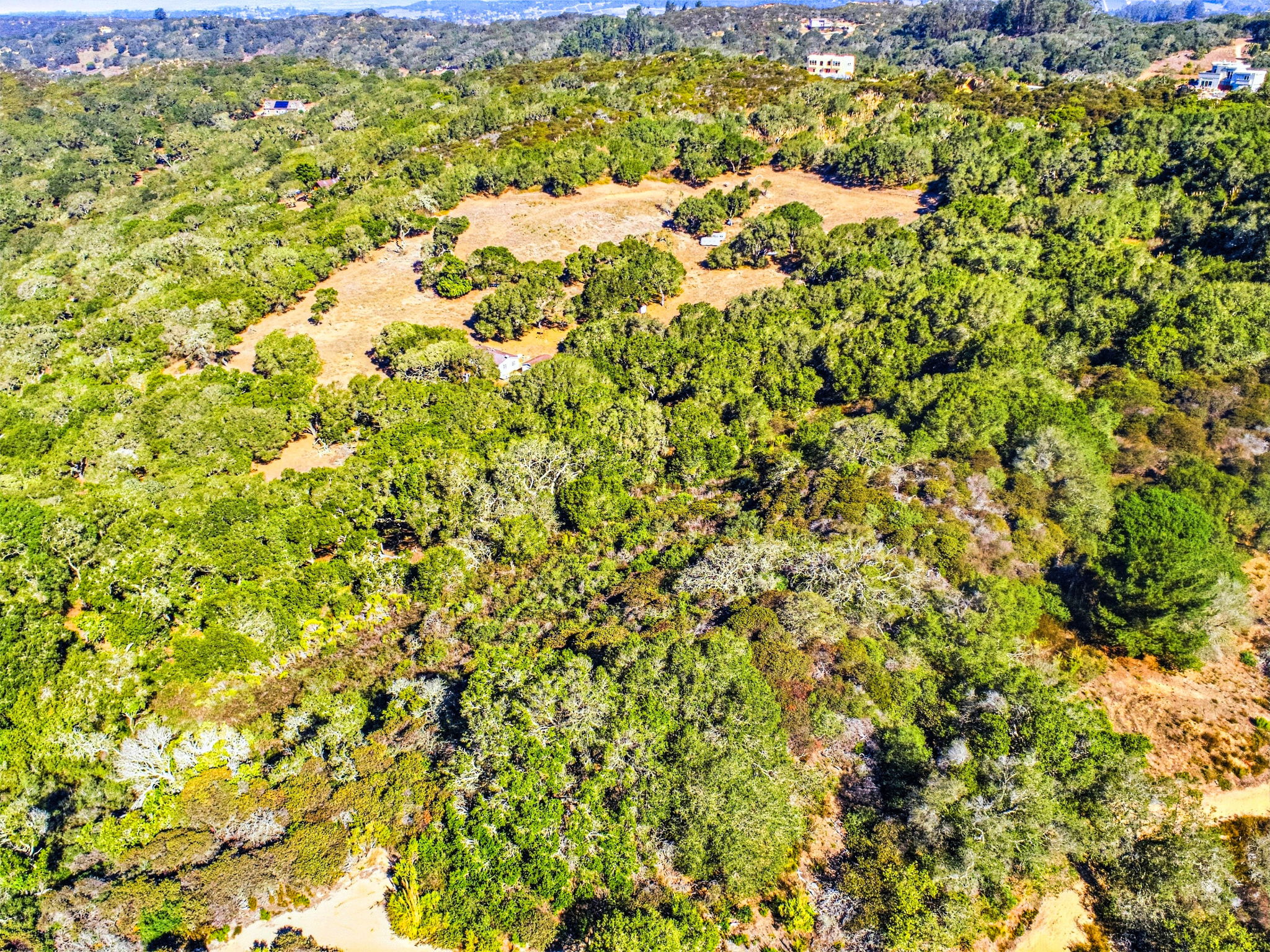006_F8_AERIAL_14720 Tumbleweed Ln