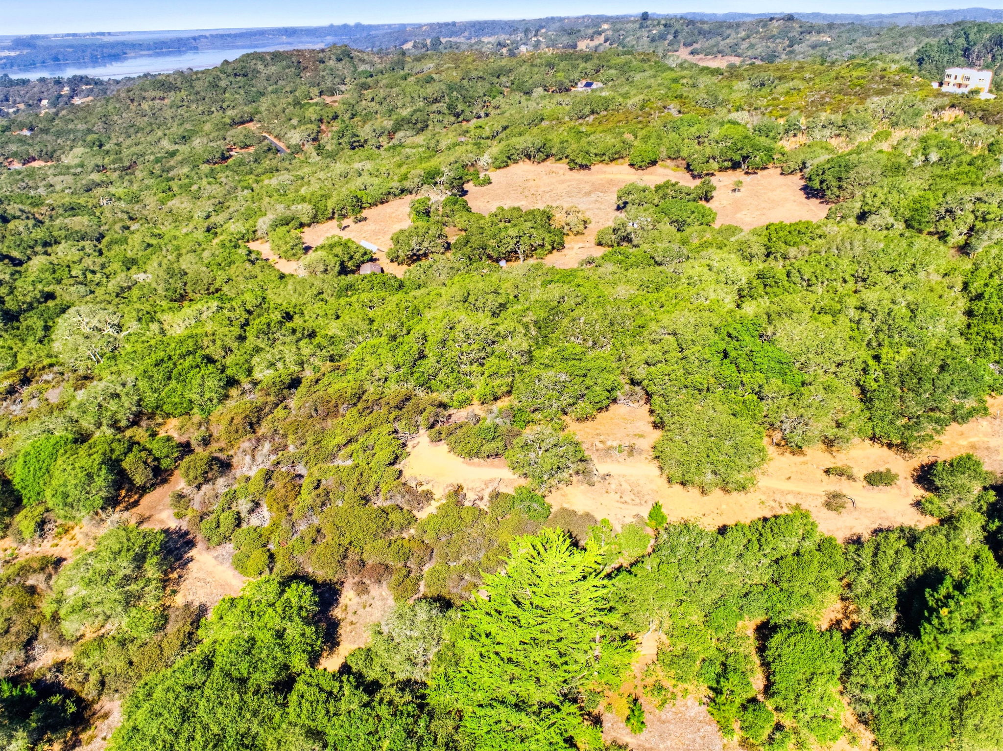 007_F8_AERIAL_14720 Tumbleweed Ln