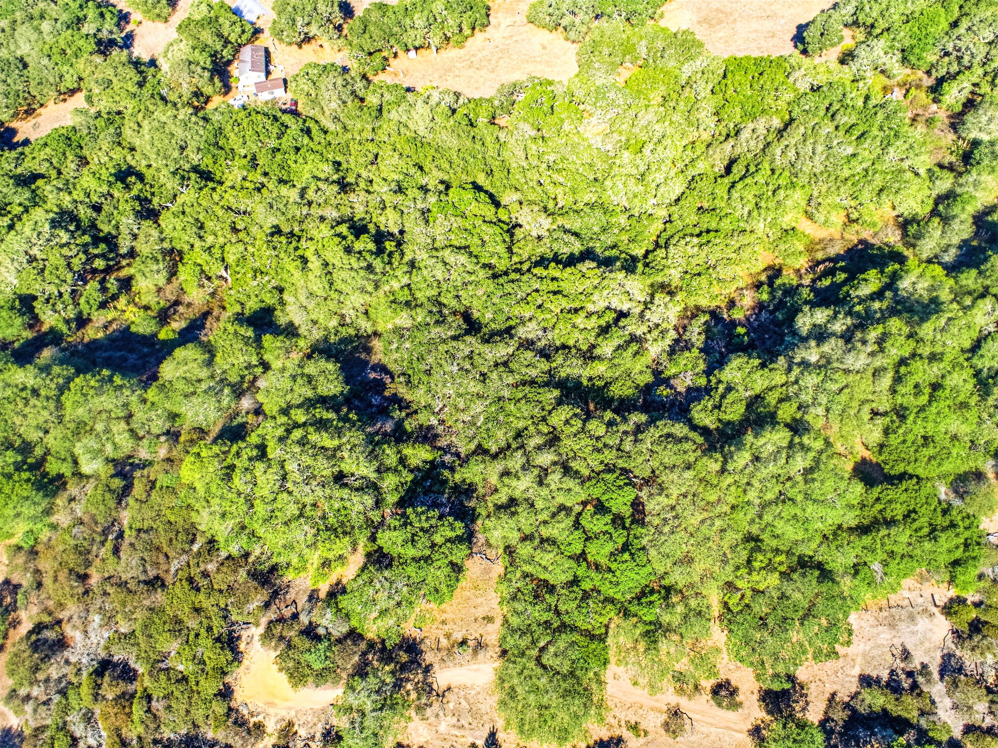 008_F8_AERIAL_14720 Tumbleweed Ln