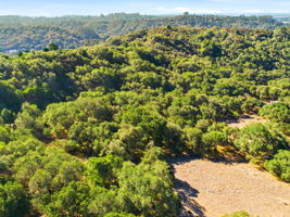 001_F8_AERIAL_14720 Tumbleweed Ln