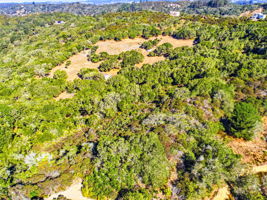 006_F8_AERIAL_14720 Tumbleweed Ln
