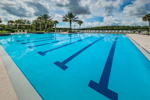 Community Pool2