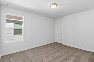 Prairie Clover-S2508-030.jpg
