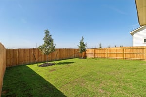 Prairie Clover-S2508-034.jpg