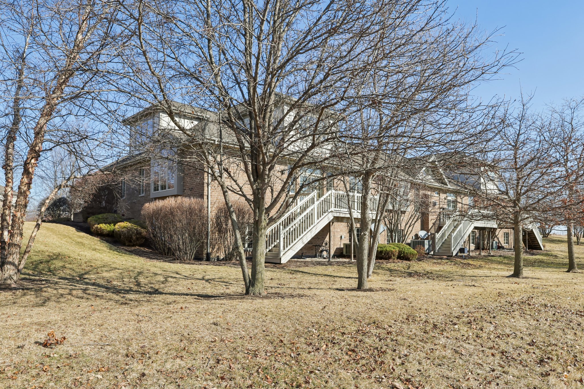 S Aster Ln-S1902-004.jpg