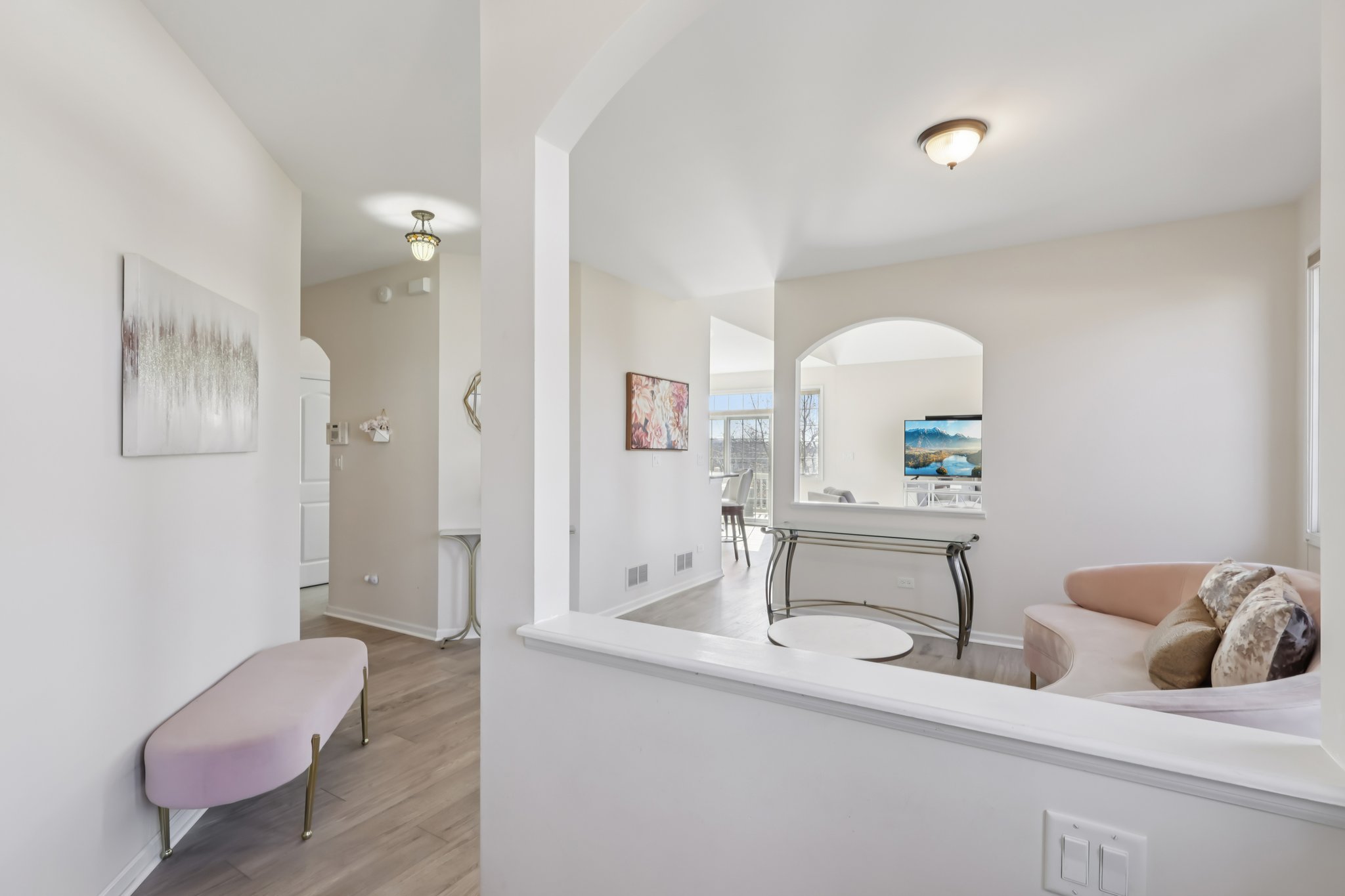 S Aster Ln-S1902-005.jpg