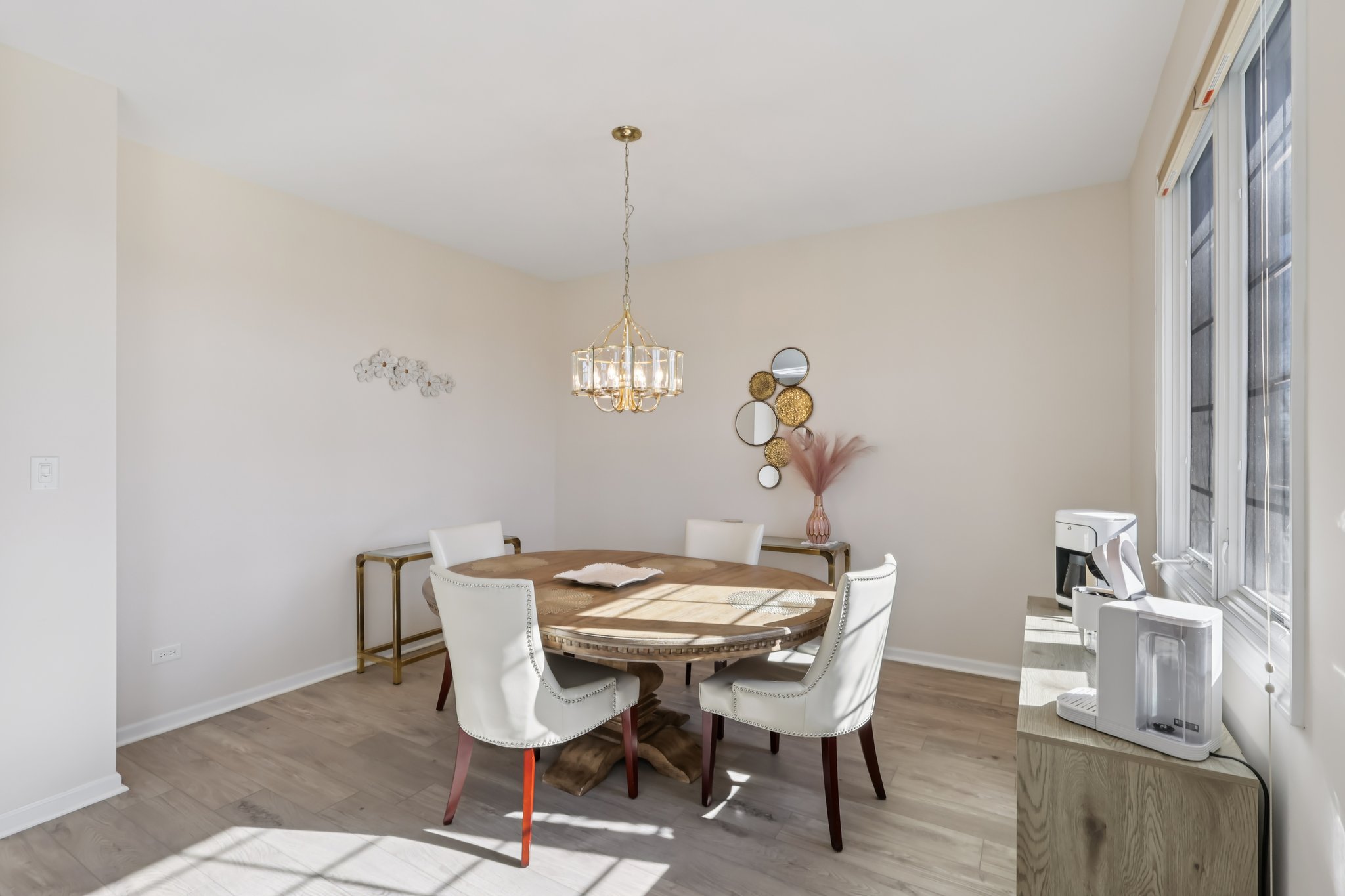 S Aster Ln-S1902-012.jpg