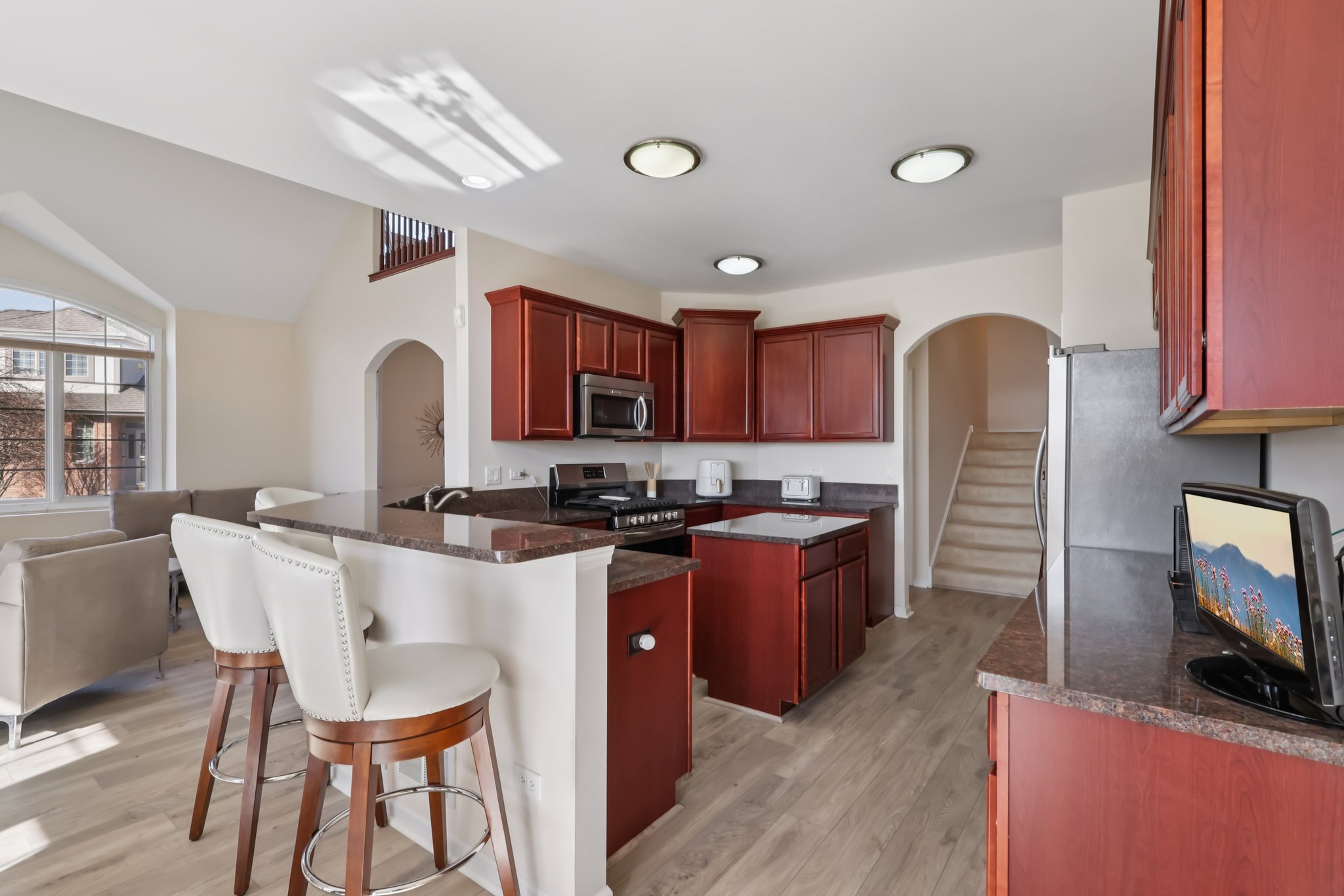 S Aster Ln-S1902-014.jpg