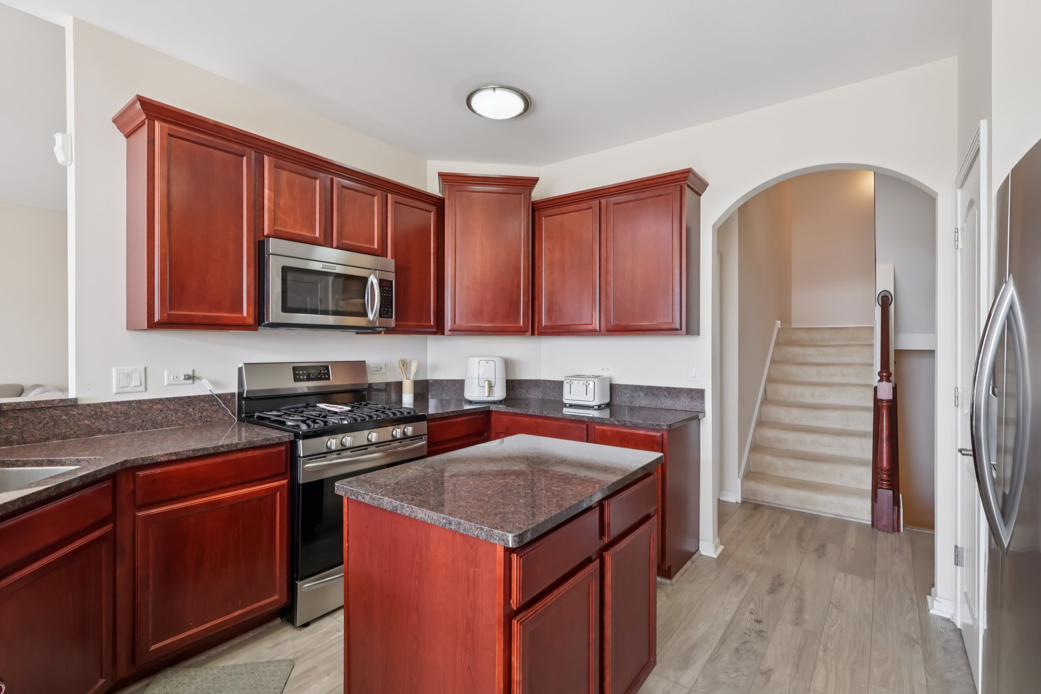 S Aster Ln-S1902-015.jpg