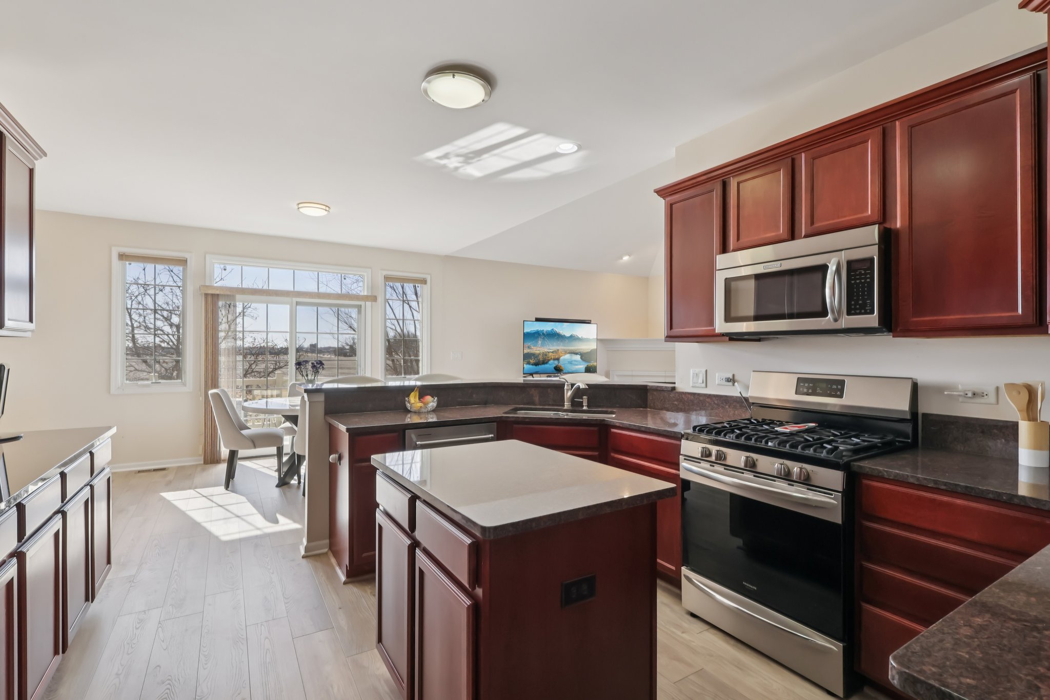 S Aster Ln-S1902-017.jpg