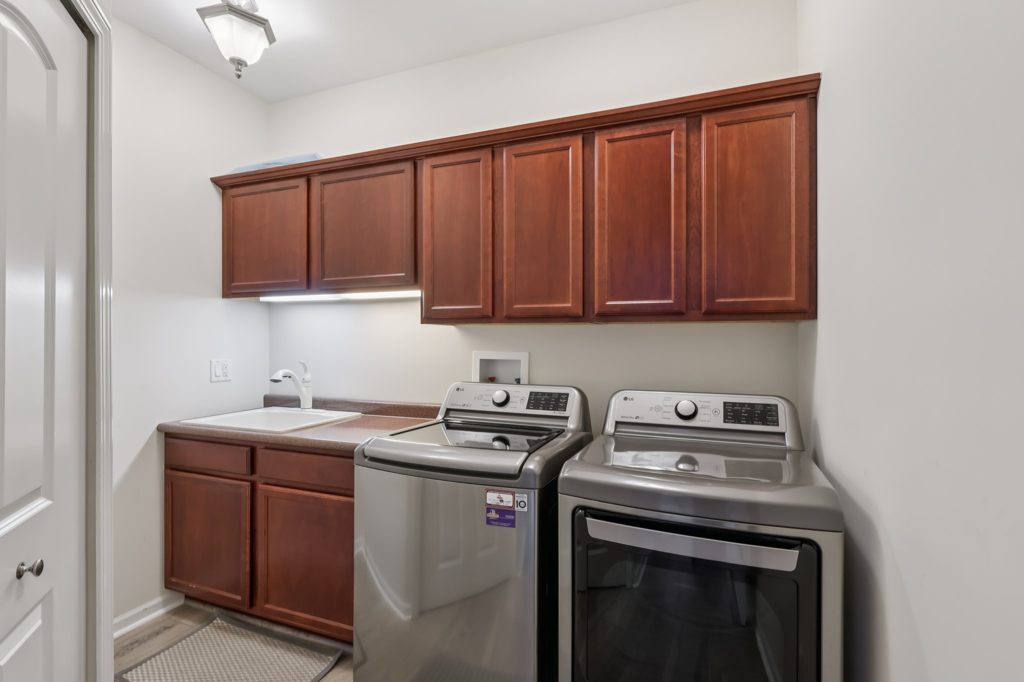 S Aster Ln-S1902-018.jpg