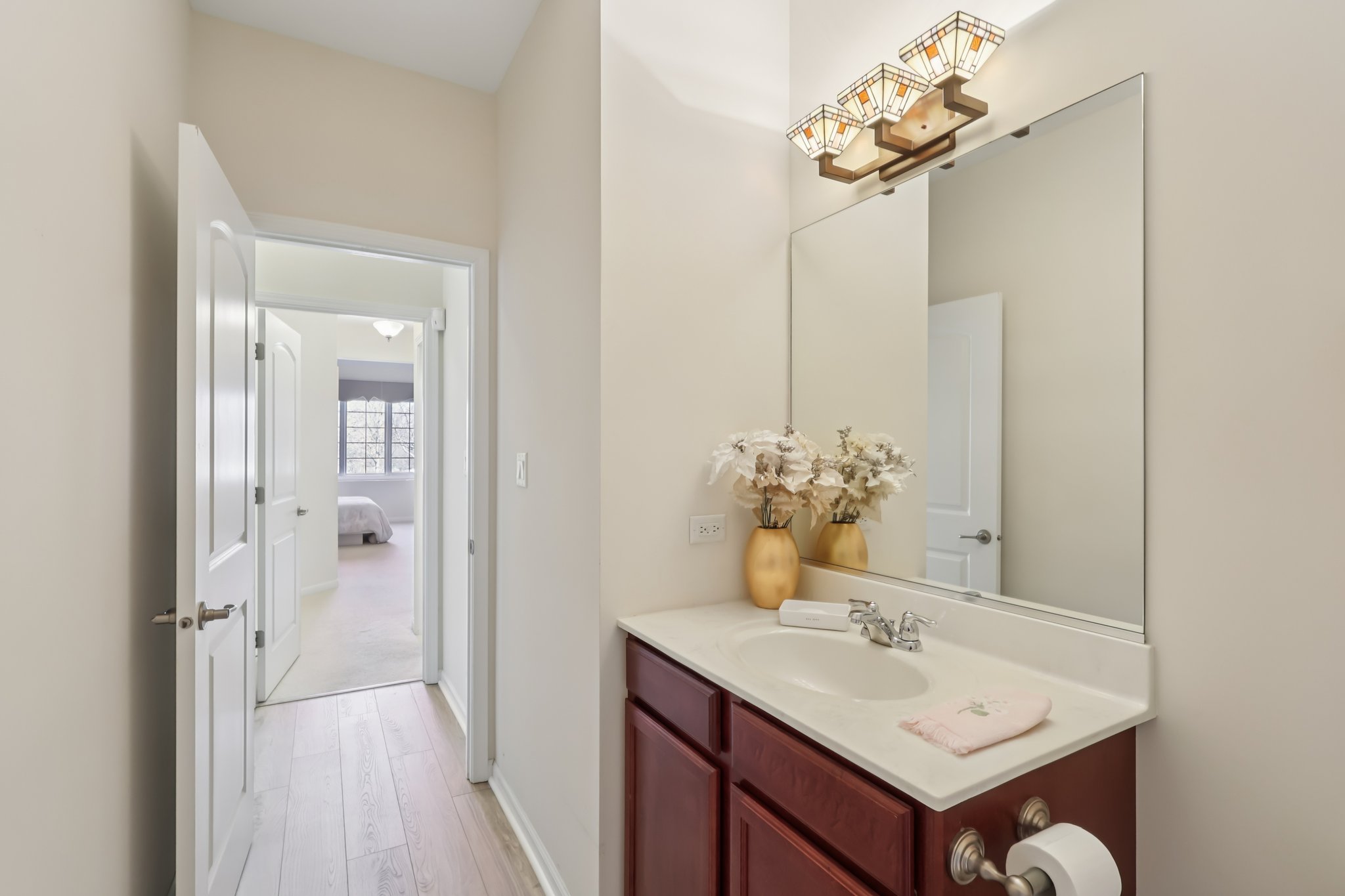 S Aster Ln-S1902-020.jpg