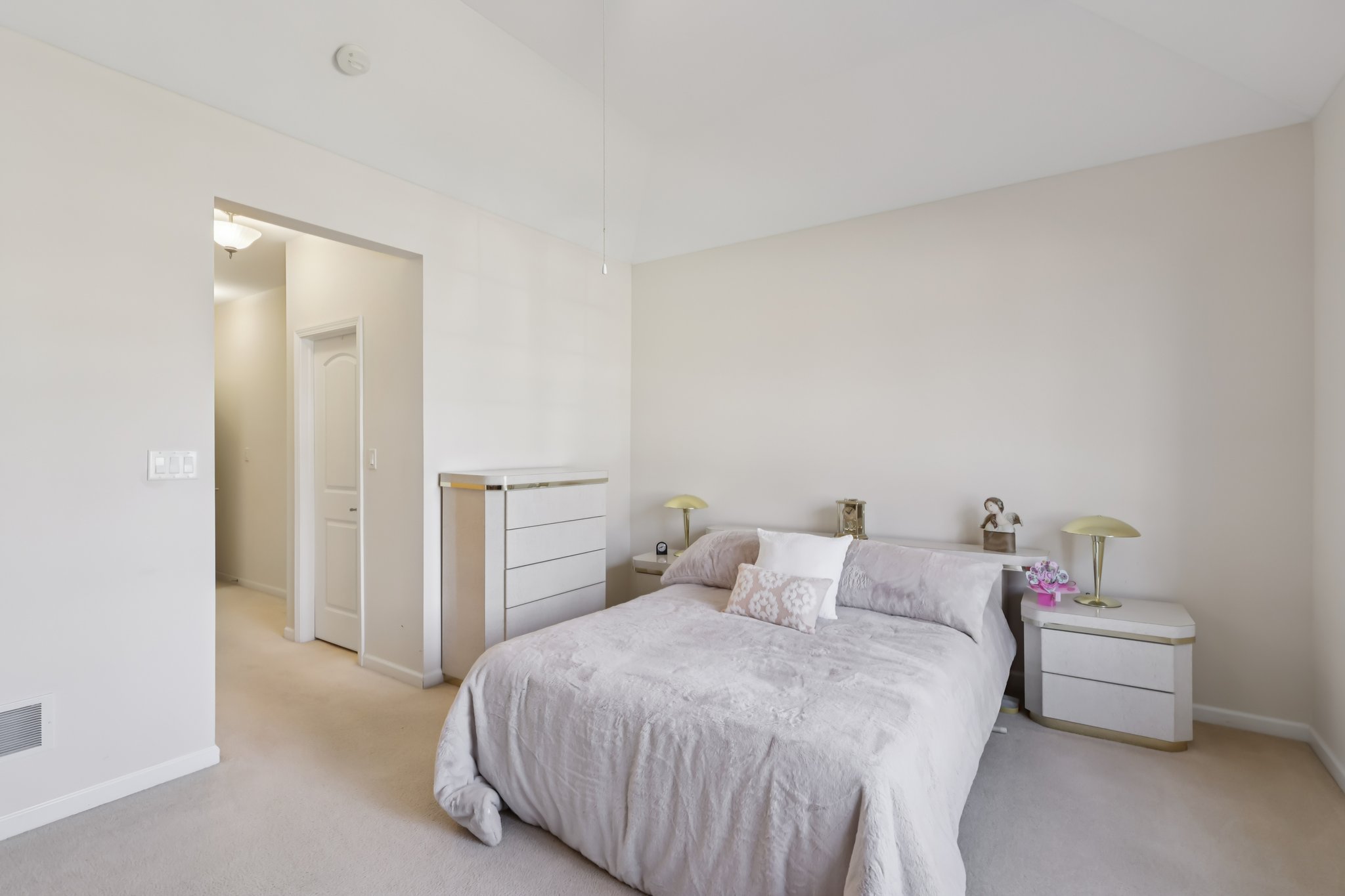 S Aster Ln-S1902-025.jpg