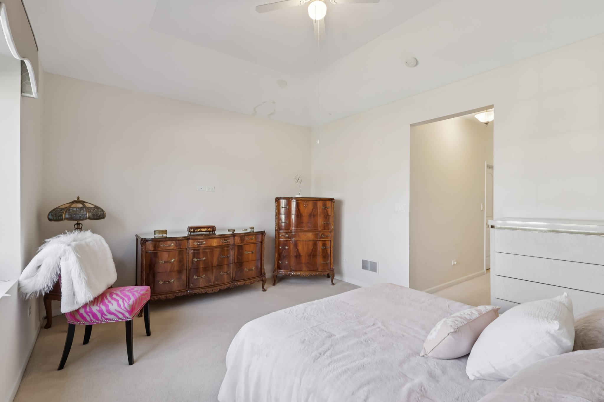 S Aster Ln-S1902-026.jpg