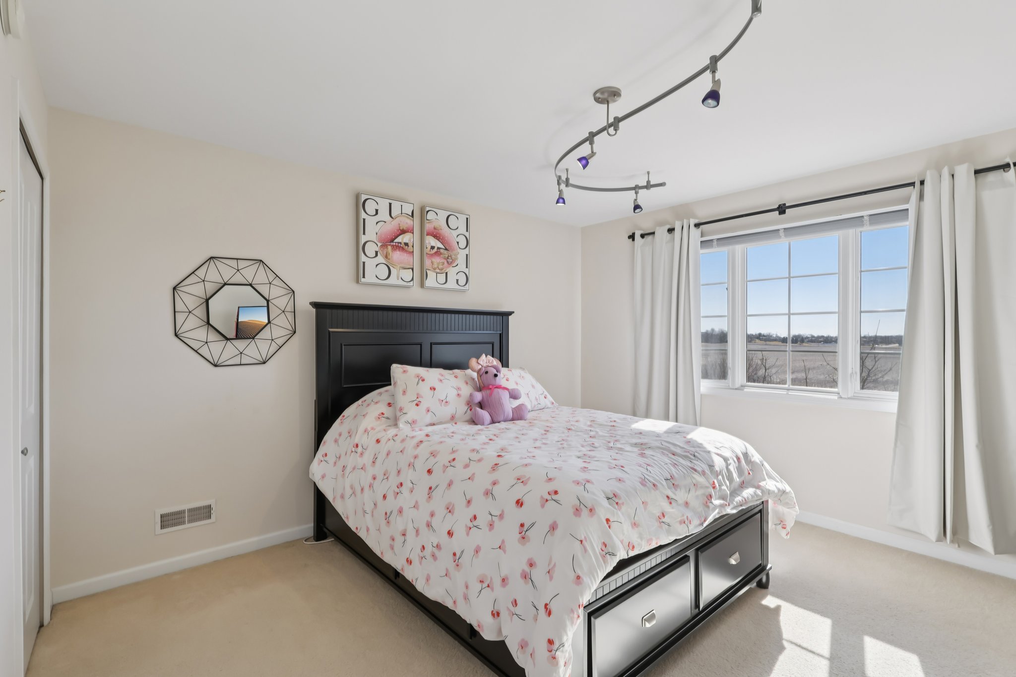 S Aster Ln-S1902-027.jpg