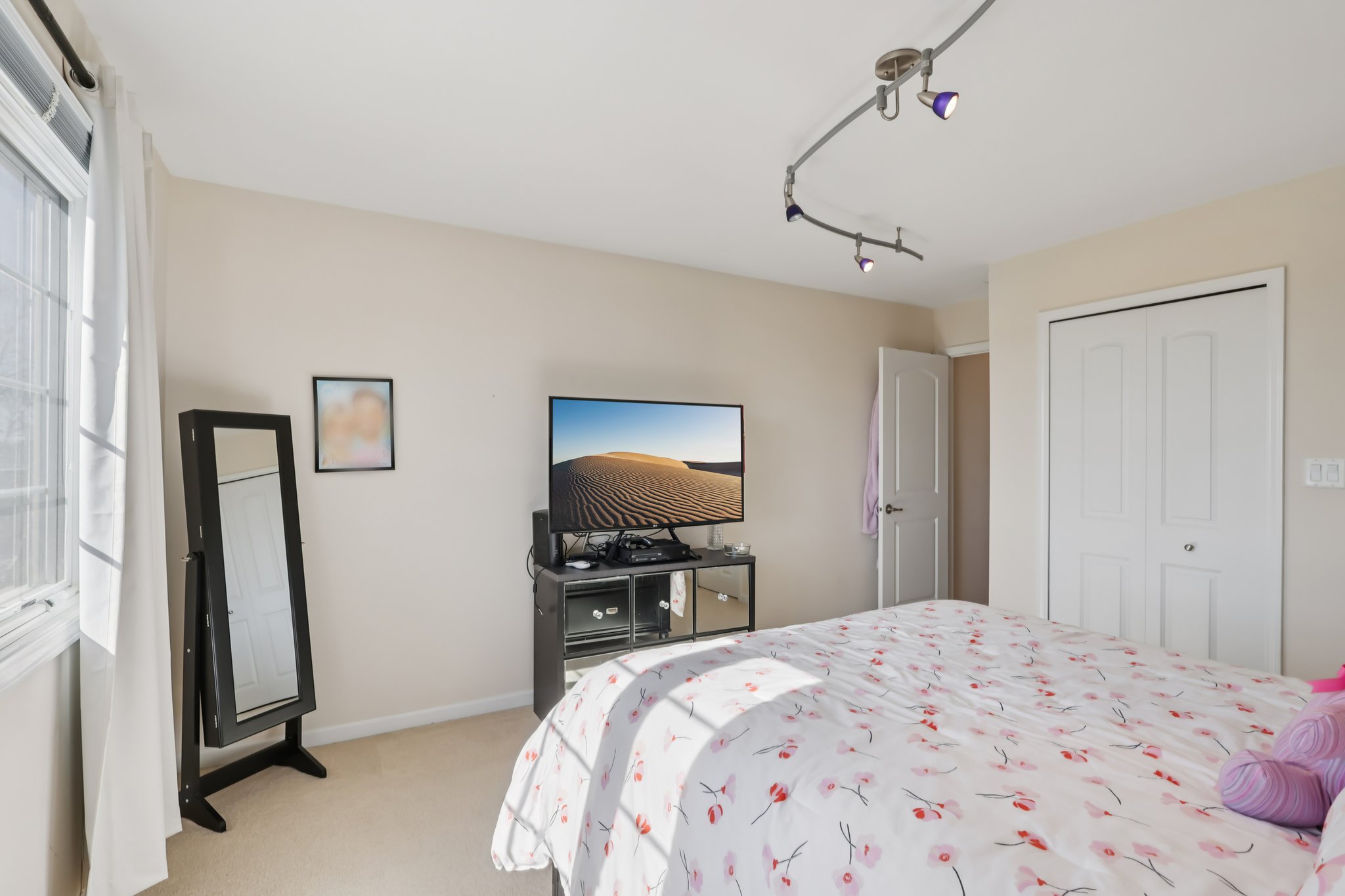 S Aster Ln-S1902-028.jpg