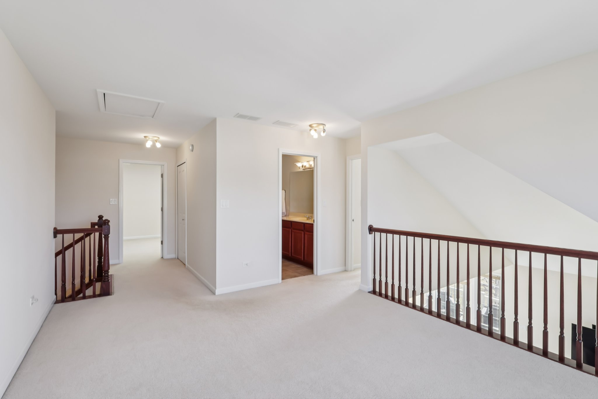 S Aster Ln-S1902-032.jpg