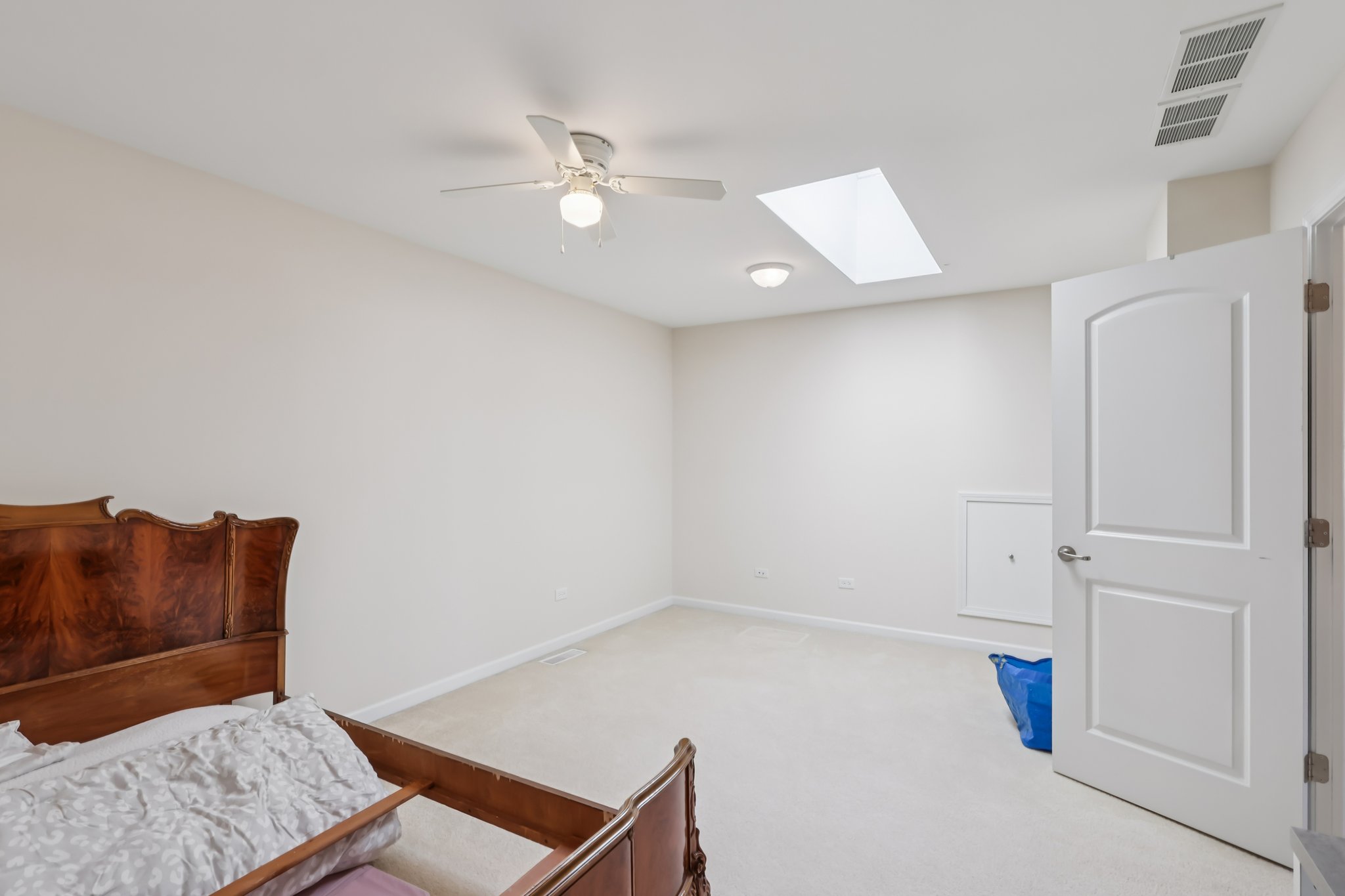 S Aster Ln-S1902-035.jpg