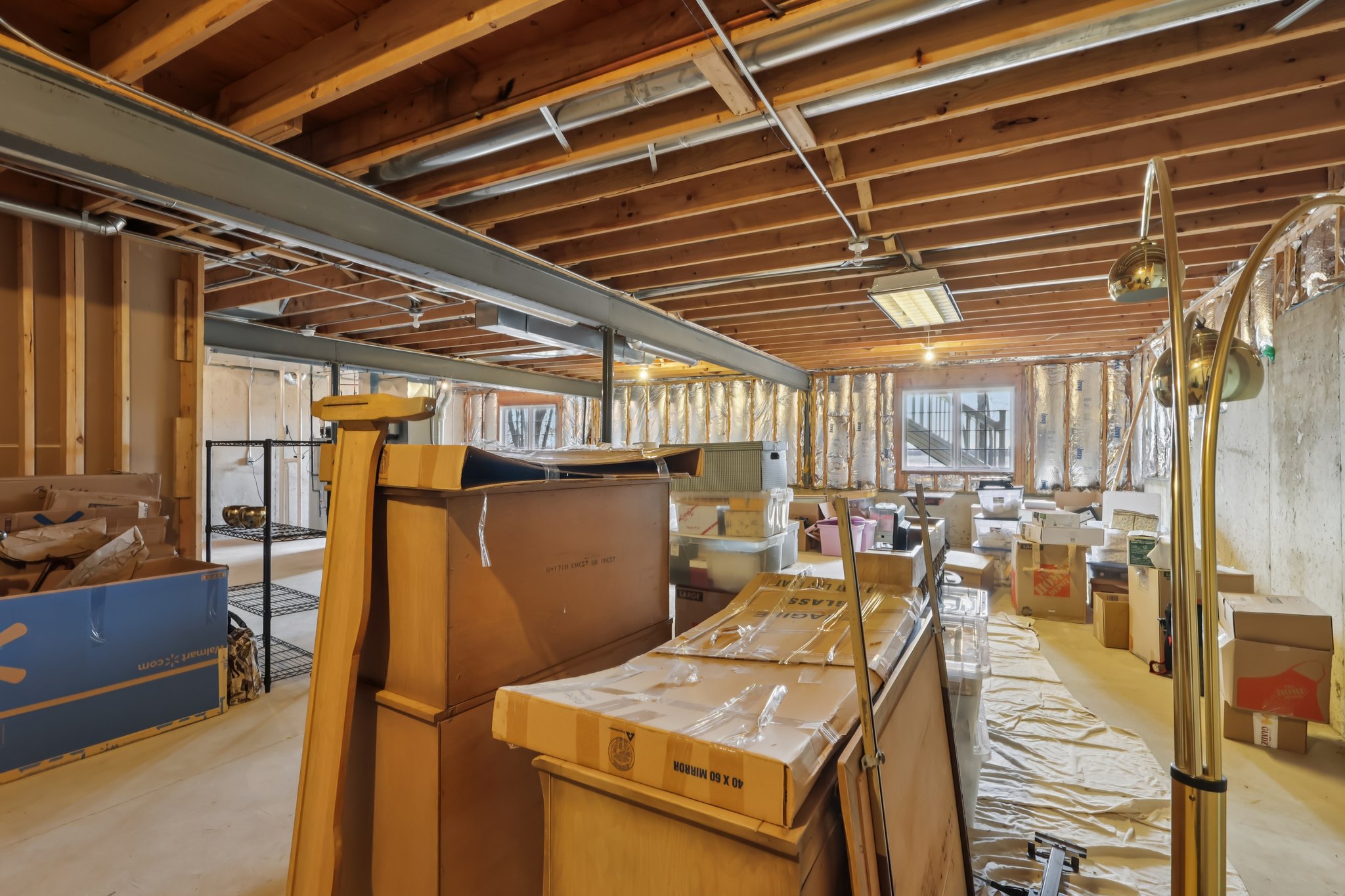 S Aster Ln-S1902-039.jpg