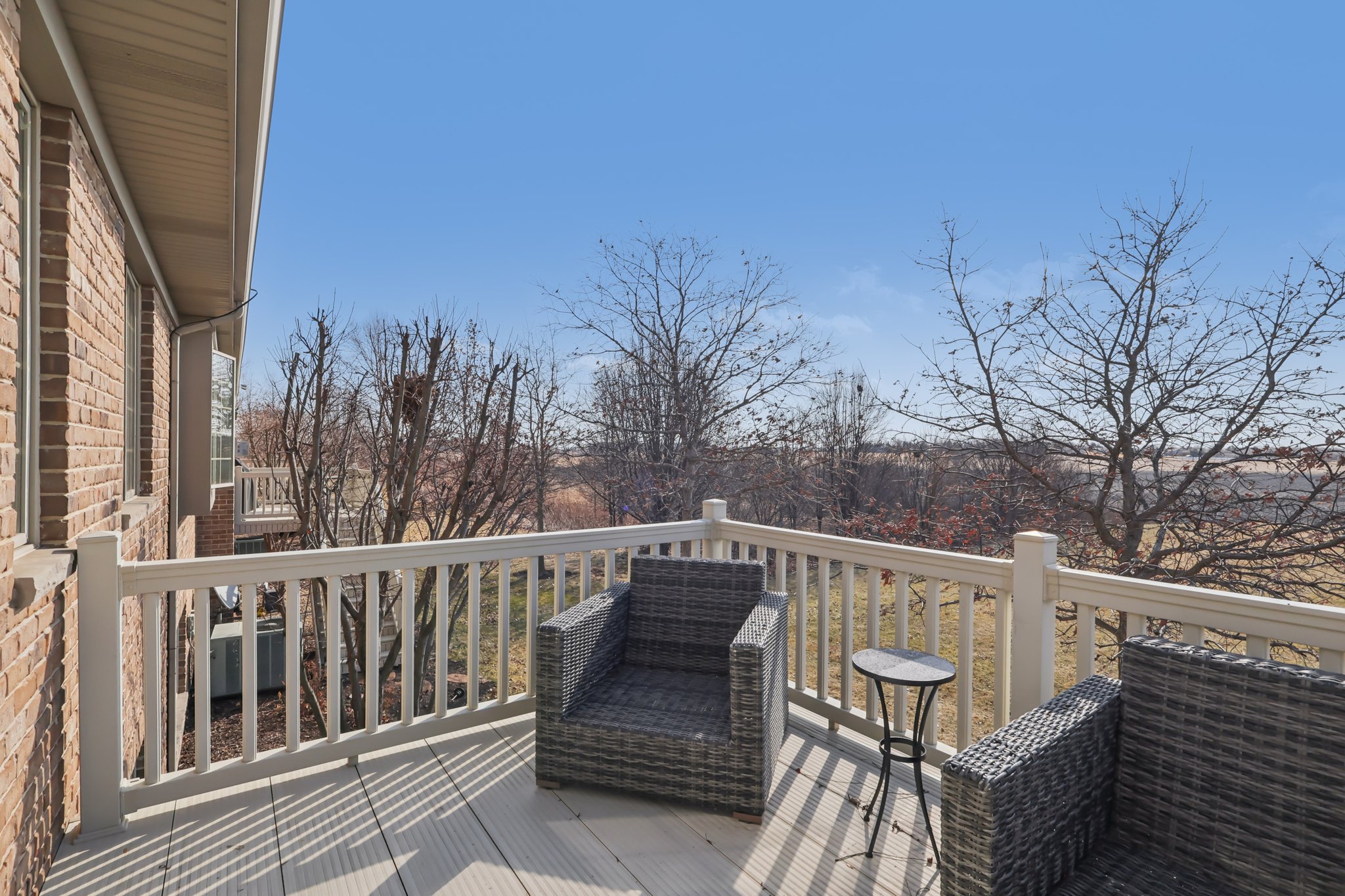 S Aster Ln-S1902-040.jpg