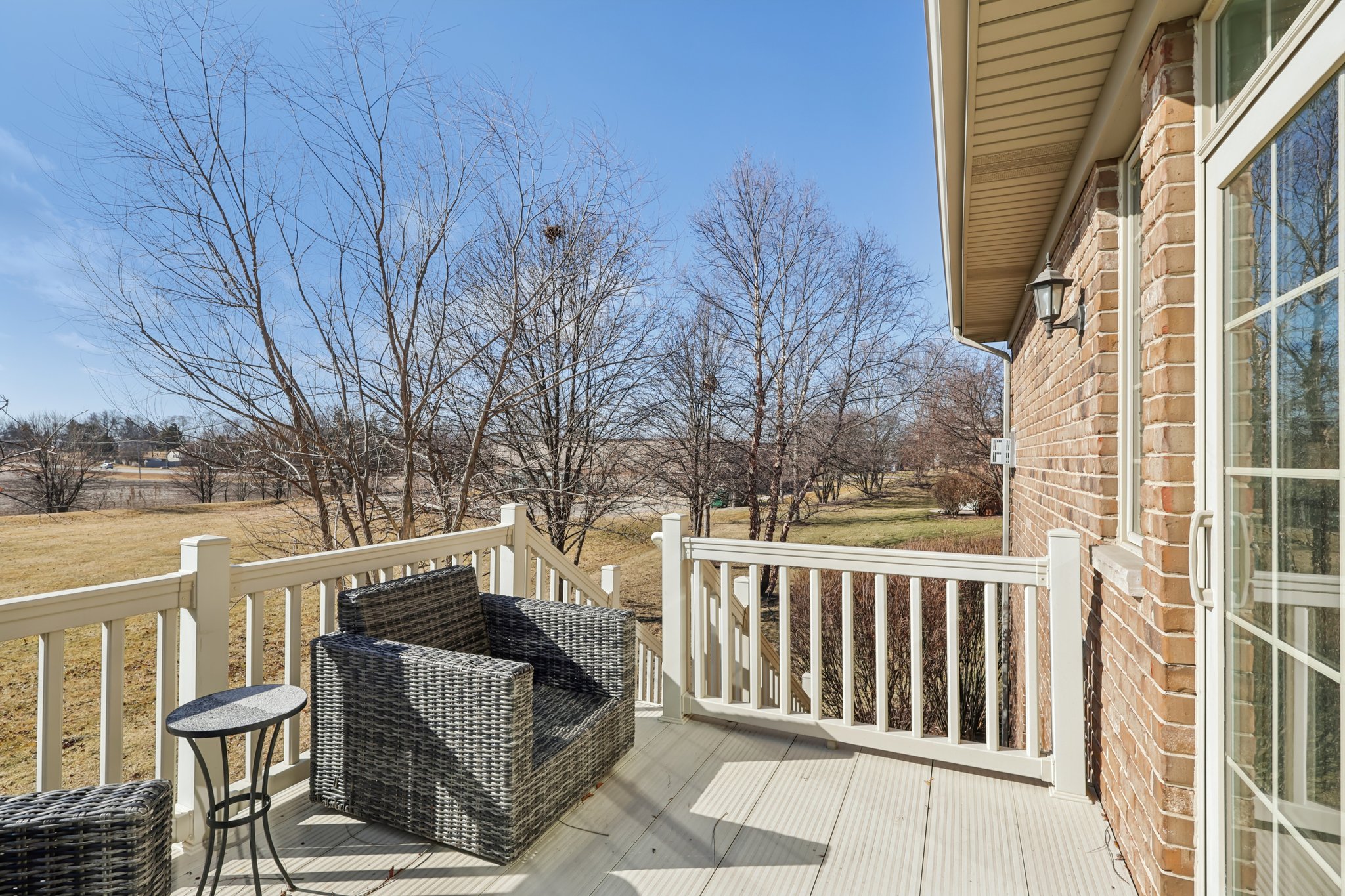 S Aster Ln-S1902-041.jpg