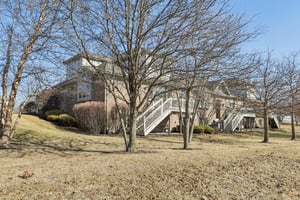 S Aster Ln-S1902-004.jpg