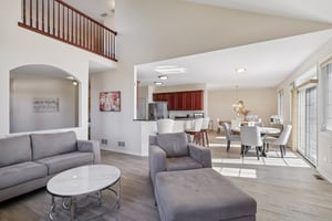 S Aster Ln-S1902-009.jpg