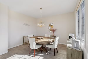 S Aster Ln-S1902-012.jpg