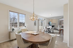 S Aster Ln-S1902-013.jpg