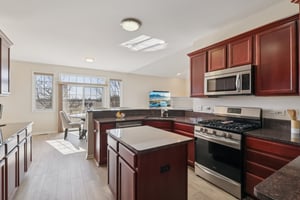 S Aster Ln-S1902-017.jpg