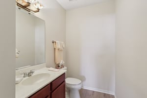 S Aster Ln-S1902-019.jpg