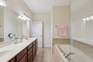 S Aster Ln-S1902-023.jpg