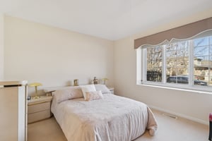 S Aster Ln-S1902-024.jpg