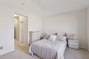 S Aster Ln-S1902-025.jpg