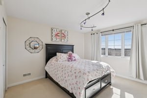 S Aster Ln-S1902-027.jpg