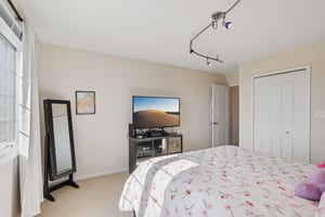 S Aster Ln-S1902-028.jpg