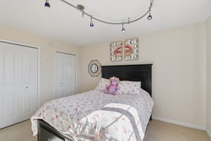 S Aster Ln-S1902-029.jpg