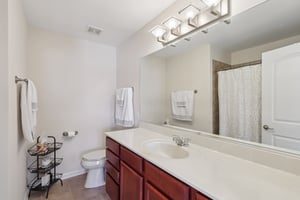 S Aster Ln-S1902-030.jpg