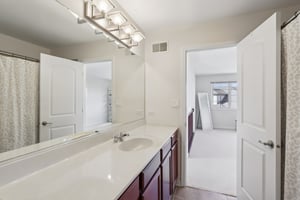 S Aster Ln-S1902-031.jpg