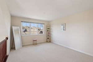 S Aster Ln-S1902-033.jpg