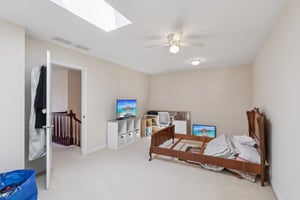 S Aster Ln-S1902-034.jpg